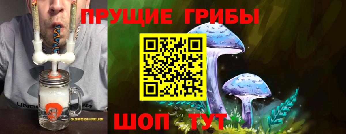 Новочебоксарск  Галлюциногенные грибы Psilocybe  Галлюциногенные грибы Magic Shrooms  Вход с VPN 
